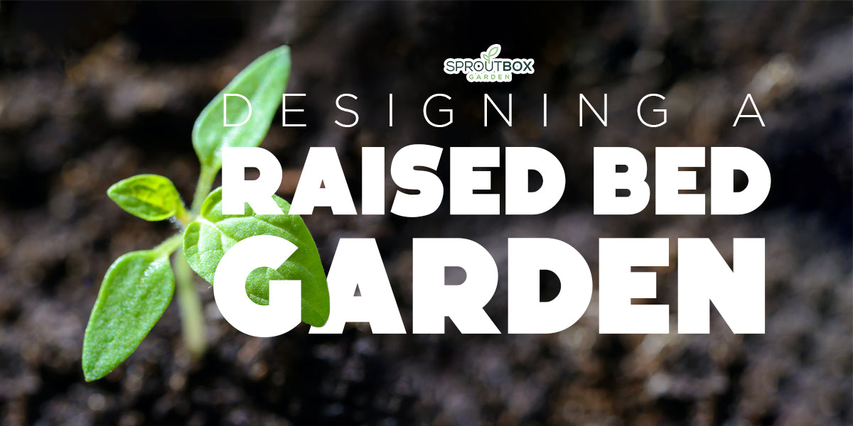Designing a Raised Bed Garden - DIY Guide for Beginners – Sproutbox Garden