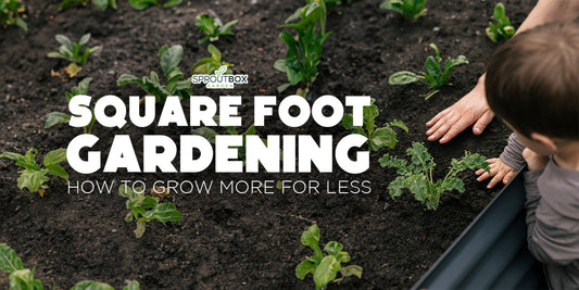 Square Foot Gardening: Maximizing Space for a Bigger Harvest