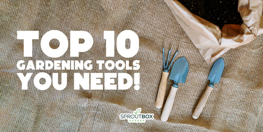 10 Essential Tools Every Gardener Needs